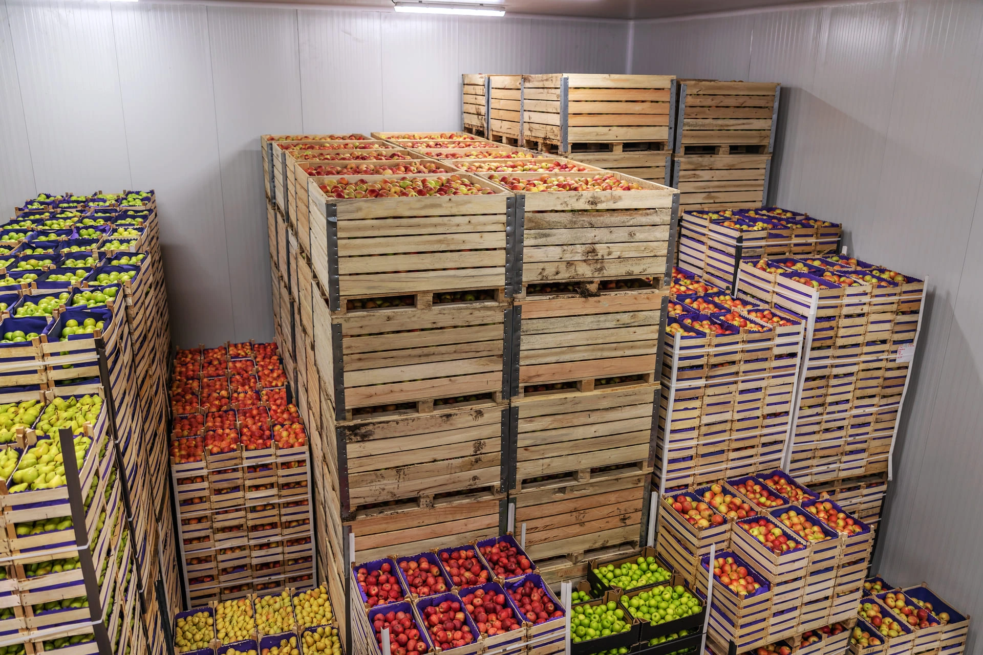 Empilement de caisses remplies de fruits et légumes dans une chambre froide
